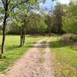 Positieve Gezondheid – Inspiratie mei 2023